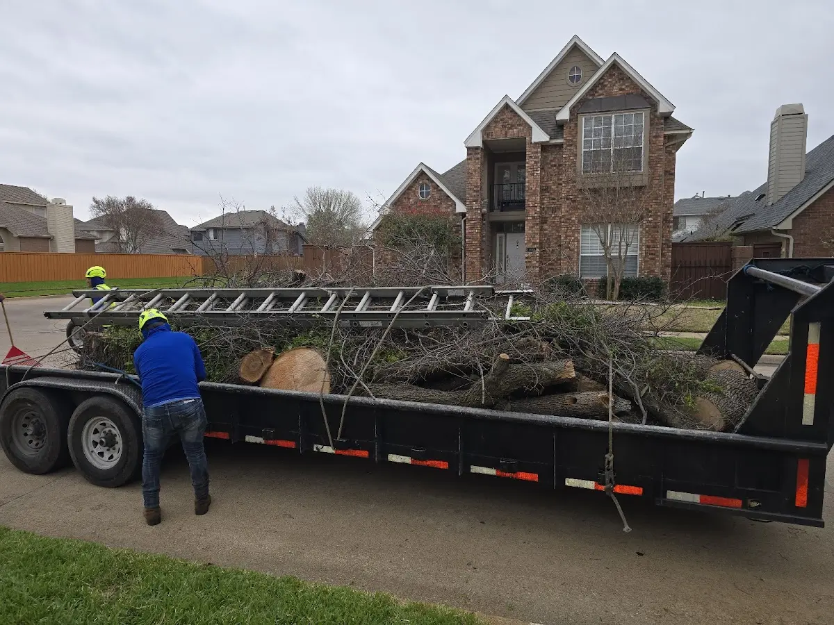 Expert Tree Fertilization with proper safety equipment in Hempstead